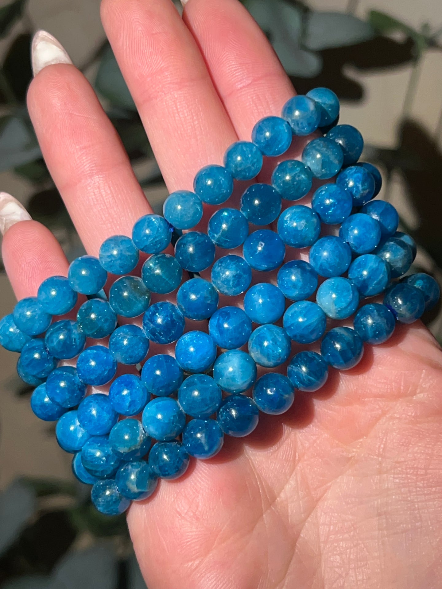 Apatite HQ Bracelets